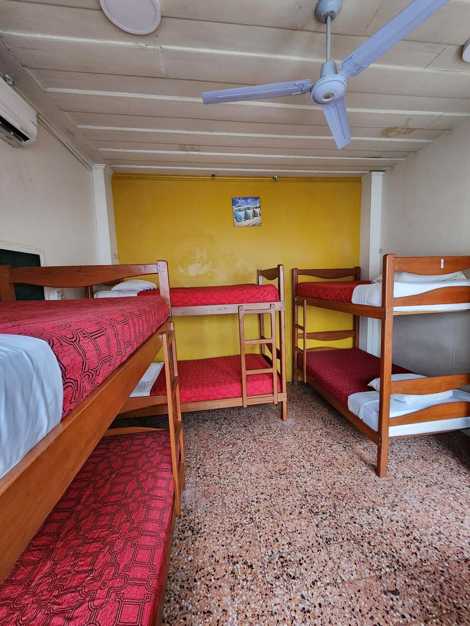 Flying Dog Hostel Iquitos Exterior foto